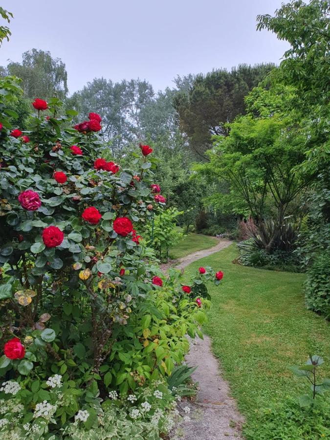 Maison En Pierre Dans Son Nid De Verdure Roz-Landrieux Eksteriør bilde