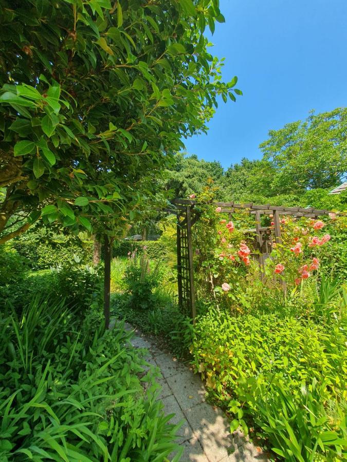 Maison En Pierre Dans Son Nid De Verdure Roz-Landrieux Eksteriør bilde