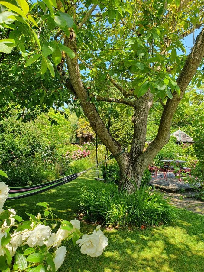 Maison En Pierre Dans Son Nid De Verdure Roz-Landrieux Eksteriør bilde